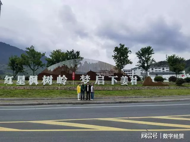 西府老街取经下姜村，党员先锋调研好文旅——贺西府老街获4A景区图2