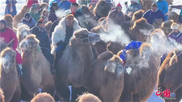 “北疆草原、相约苏尼特”——内蒙古苏尼特右旗冬季旅游那达慕、“蒙古马精神杯”超级联赛暨第十四届骆驼文化节召开图3